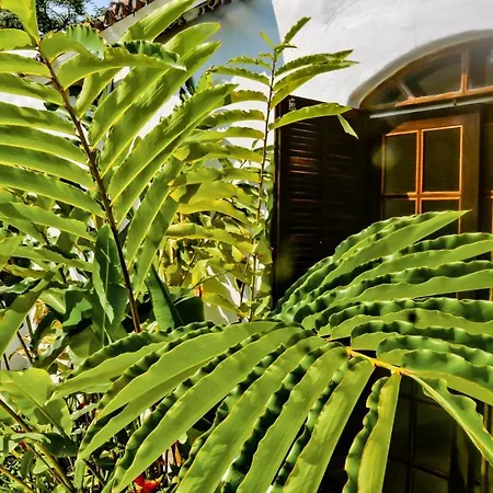 Casa Mani-3